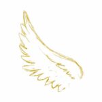 spiritualität ein Flügel von einem Engel als Symbol für Spiritualität
